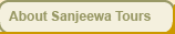 About Sanjeewa Tours