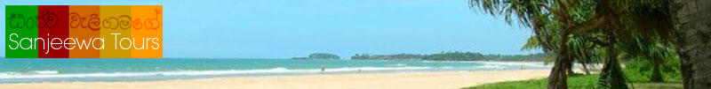 Sanjeewa Tours